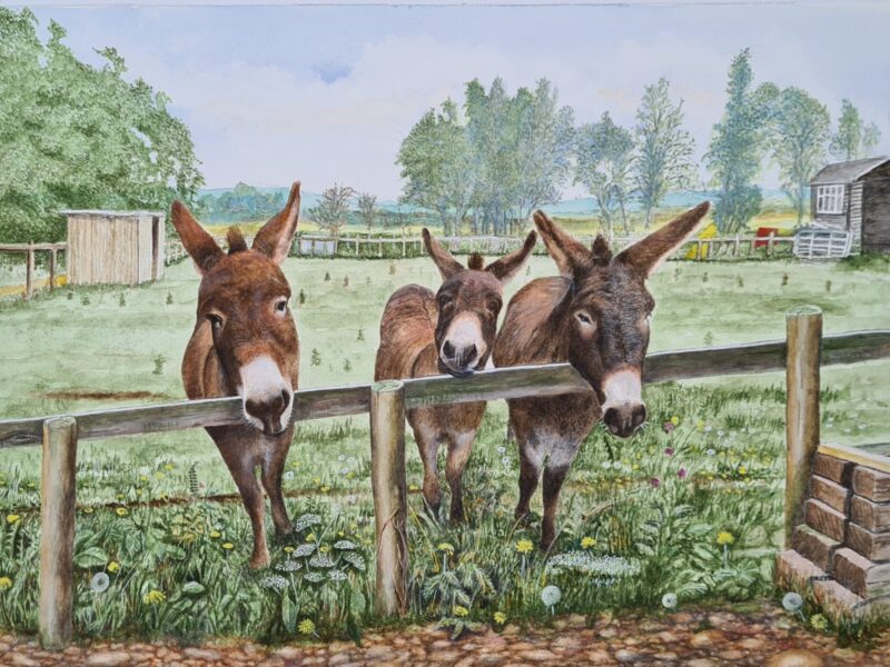 Sarah's Donkeys