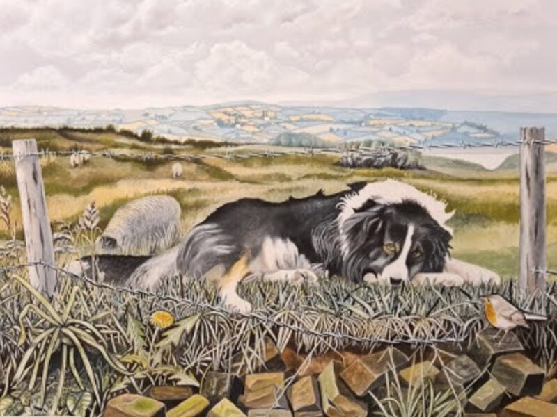 Tip Still Waits on Howden 1993